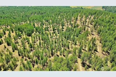 5687 Bb Corkscrew Canyon Road, Tumtum, WA 99034 - Photo 17