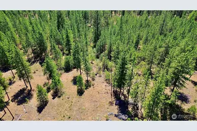 5687 Bb Corkscrew Canyon Road, Tumtum, WA 99034 - Photo 9