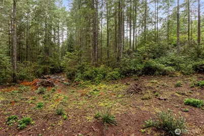 18267 NW Stavis Bay Road, Seabeck, WA 98380 - Photo 37