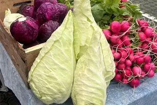 2011 Cornwall Ave, Bellingham, WA 98225 - Photo 25