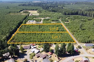9999 Lot 2 King Johns Way, Forks, WA 98331 - Photo 1