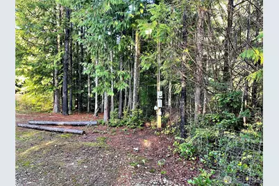 58 Rainbow Lane, Pacific Beach, WA 98571 - Photo 7