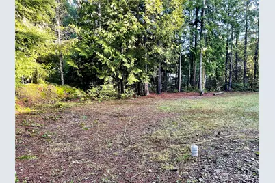 58 Rainbow Lane, Pacific Beach, WA 98571 - Photo 15