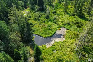 773 Lucas Creek Rd, Chehalis, WA 98532 - Photo 37