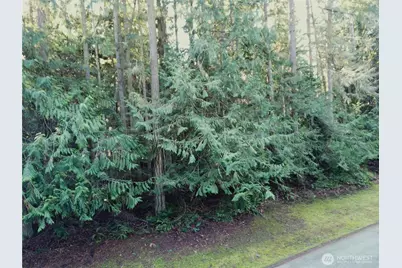 9999 Hidden Highlands Lot 3, Port Angeles, WA 98362 - Photo 11