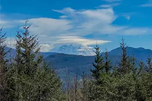 29208 327th Way SE, Ravensdale, WA 98051 - Photo 5