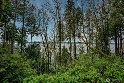 14018 96th Street Ct, Anderson Island, WA 98303 - Photo 7
