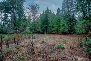 14018 96th Street Ct, Anderson Island, WA 98303 - Photo 13