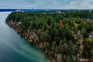 14018 96th Street Ct, Anderson Island, WA 98303 - Photo 3