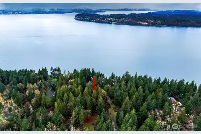 14018 96th Street Ct, Anderson Island, WA 98303 - Photo 5