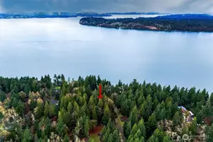 14018 96th Street Ct, Anderson Island, WA 98303 - Photo 5