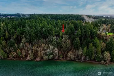 14018 96th Street Ct, Anderson Island, WA 98303 - Photo 19