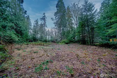 14018 96th Street Ct, Anderson Island, WA 98303 - Photo 11