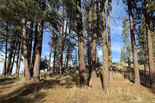 0 Adams St, Republic, WA 99166 - Photo 1