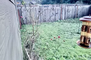 4244 E Roosevelt Ave, Tacoma, WA 98404 - Photo 19