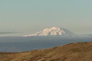 1303 Nightingale Rd, Wapato, WA 98951 - Photo 1