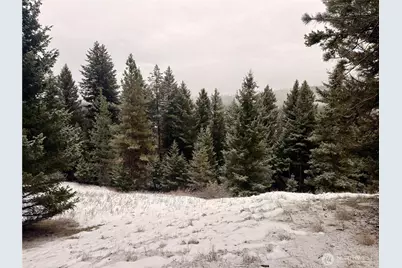 25 Miner's Ridge Road, Oroville, WA 98844 - Photo 5