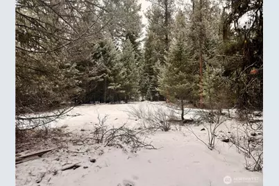 25 Miner's Ridge Road, Oroville, WA 98844 - Photo 13