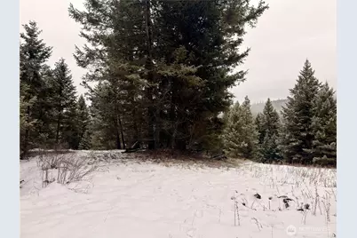 25 Miner's Ridge Road, Oroville, WA 98844 - Photo 7