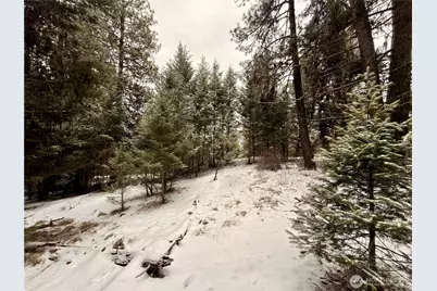 25 Miner's Ridge Road, Oroville, WA 98844 - Photo 9