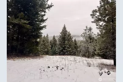 25 Miner's Ridge Road, Oroville, WA 98844 - Photo 1