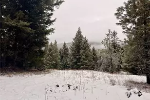 25 Miners Ridge Rd, Oroville, WA 98844 - Photo 1