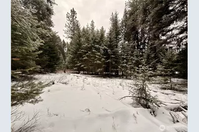 25 Miner's Ridge Road, Oroville, WA 98844 - Photo 21