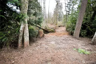 0 SE Cleveland Ave, Port Orchard, WA 98366 - Photo 1