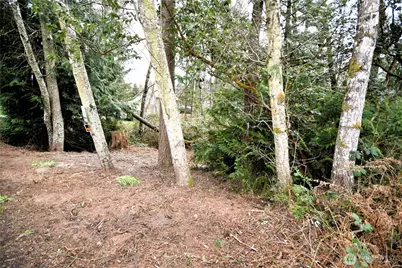 0 SE Cleveland Avenue, Port Orchard, WA 98366 - Photo 3