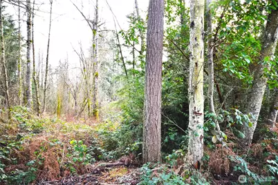 0 SE Cleveland Avenue, Port Orchard, WA 98366 - Photo 1