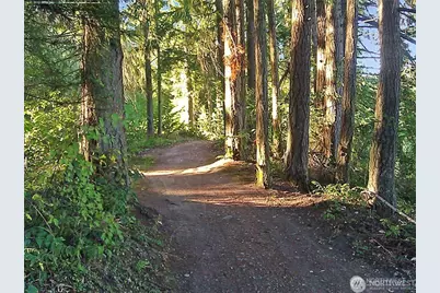 21707 Beachside Drive SE, Yelm, WA 98597 - Photo 39