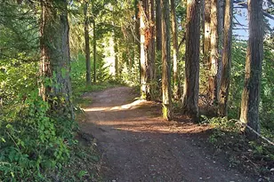 21707 Beachside Dr SE, Yelm, WA 98597 - Photo 39