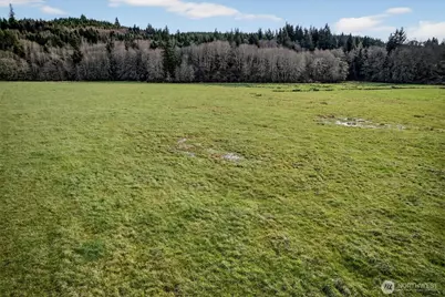 163 Barr Road, Rosburg, WA 98643 - Photo 19