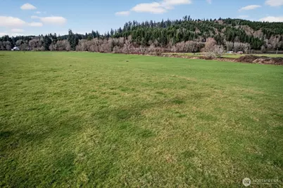 163 Barr Road, Rosburg, WA 98643 - Photo 13