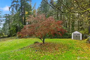 4364 151st Ave SE, Bellevue, WA 98006 - Photo 37