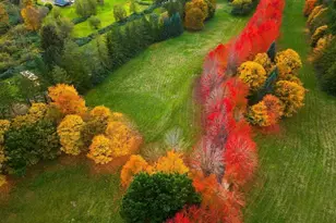 8100 428th Ave SE, Snoqualmie, WA 98065 - Photo 39