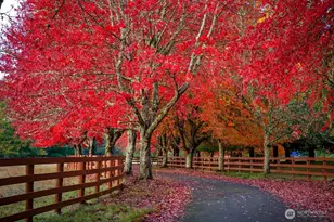 8100 428th Ave SE, Snoqualmie, WA 98065 - Photo 3
