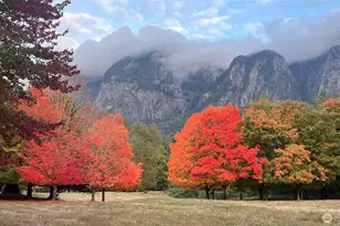 8100 428th Ave SE, Snoqualmie, WA 98065 - Photo 39