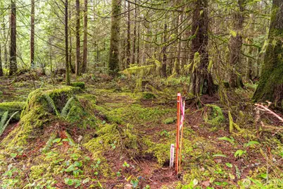 12020 Huckleberry Lane, Arlington, WA 98223 - Photo 19