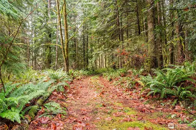 12020 Huckleberry Lane, Arlington, WA 98223 - Photo 3