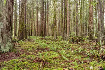 12020 Huckleberry Lane, Arlington, WA 98223 - Photo 17