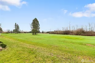 3191 Creasey, Custer, WA 98240 - Photo 33