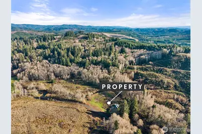 138 Ward Creek Rd, Raymond, WA 98577 - Photo 11