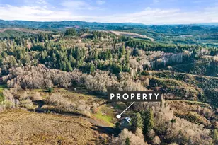 138 Ward Creek Rd, Raymond, WA 98577 - Photo 11