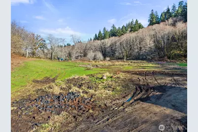 138 Ward Creek Rd, Raymond, WA 98577 - Photo 15