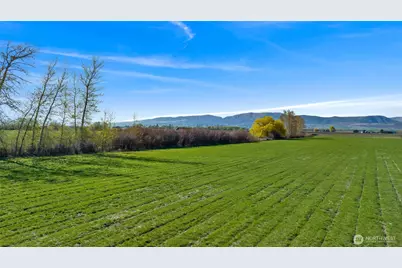 5 Xx Rein Road, Ellensburg, WA 98926 - Photo 5