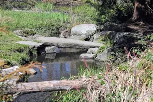 9523 Ashworth Ave N, Seattle, WA 98103 - Photo 29