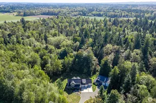 3179 Velvet Ln, Custer, WA 98240 - Photo 5