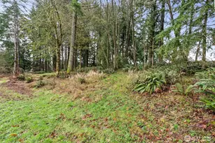 126 Burchett Rd, Onalaska, WA 98570 - Photo 39