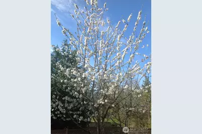 1300 Flower Avenue, Port Orchard, WA 98366 - Photo 25